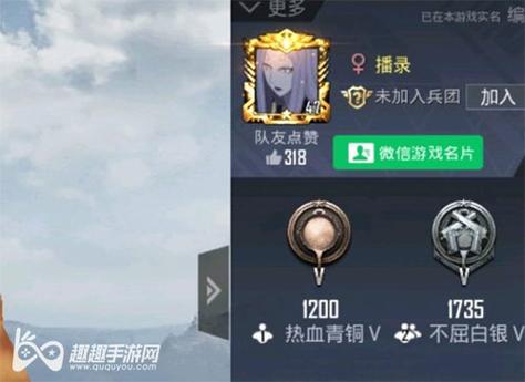 和平精英IOS辅助【sSs内部】免越狱使用，陪玩专用，低调上分